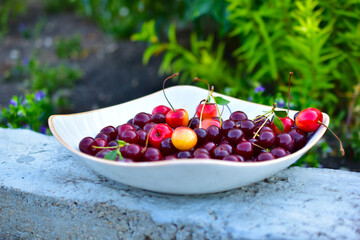 Many berries ripe cherries on a white plate in the garden