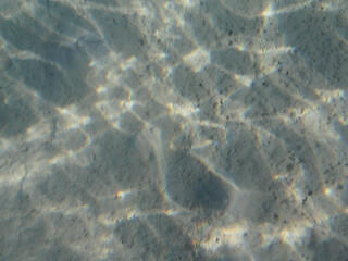 Sea sandy bottom underwater background