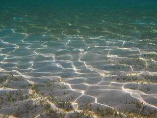 Sandy bottom, green grass underwater background