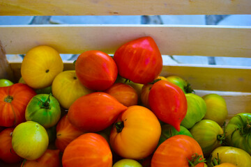Yellow red and green tomatoes in a wooden box