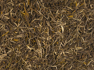 Chinese green tea (Xinyang Maojian) brew background