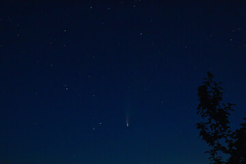 Comet C / 2020 F3 (NEOWISE) — a retrograde comet with an almost parabolic orbit in the village