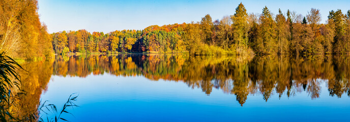 Seelandschaft mit sich im Wasser spiegelndem Wald im Herbst als Panorama