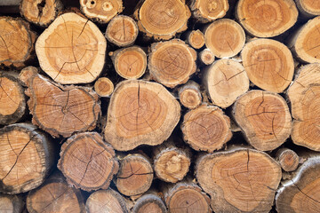 Wall of stacked wood logs as background. A lot of cutted logs. Ring logs  prepared for winter fireplace. Stack of firewood close up.