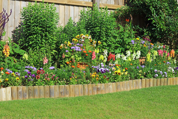 Summer flowers and shrubs in a garden border.