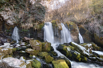 small waterfall in the forest