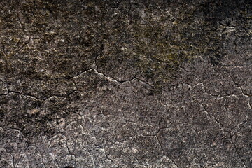 Old wall in cracks and lichen. Plaster. Background texture