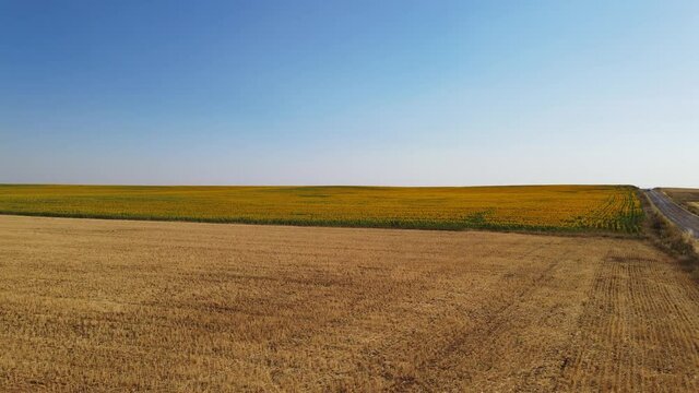 Very beautiful earthy aerial view in Le&oacute;n, Spain. Close to Pajares de los Oteros and Valencia de Don Juan. From earth to amazing sunflower plantation which will be sunflower seeds in a near future.