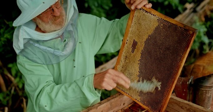 New harvest of honey, close-up. Natural product, honey flows from the extractor into a jar. 4k, 10bit, ProRes