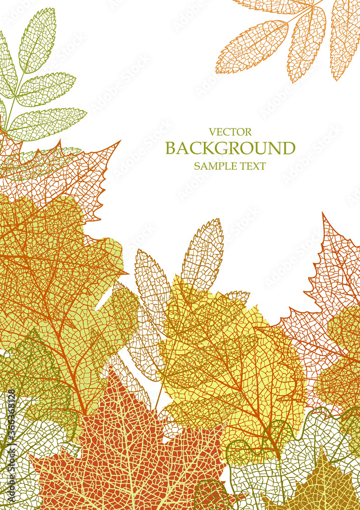 Wall mural textured background with autumn leaves. natural element. plant print. vector season banner, template