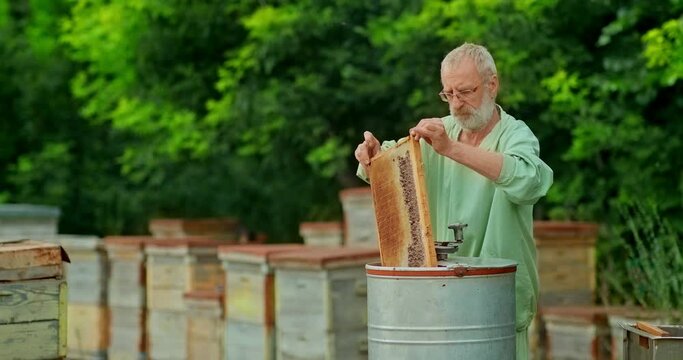 eekeeper inserts a frame with honeycombs into the honey pot. Beekeeper pumps honey, fresh honey. Work in the apiary. 4k, 10bit, ProRes