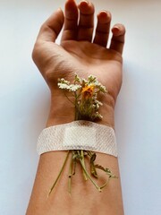 hand holding a flower