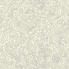 Seamless Texture or Pattern of Topographic Map