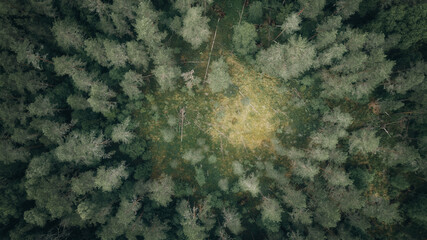 Top down ariel view of dark forest in sweden on a cloudy day. Drone photography.  - obrazy, fototapety, plakaty