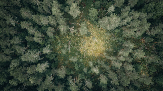 Top Down Ariel View Of Dark Forest In Sweden On A Cloudy Day. Drone Photography. 