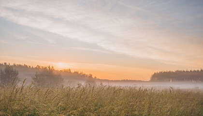 Early morning fog in rural environment