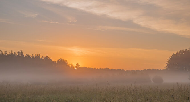 Early morning fog in rural environment © Rasa