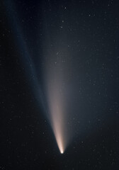 Obraz na płótnie Canvas Komet C/2020 F3 (Neowise)