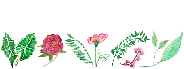 Watercolor hand painted nature floral tropical plants set with green palm, tea leaves and red, pink blossom flowers collection isolated on the white background for design elements