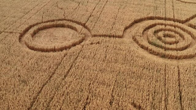 Fake UFO circles on grain crop yellow field, aerial view from drone. Round geometry shape symbols as alien signs, mystery concept