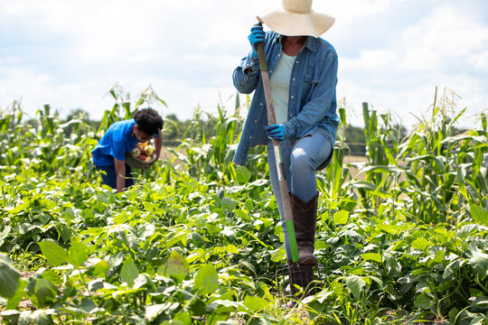 Mother and daughter working in garden farm