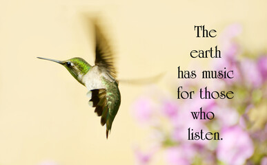 Inspirational quote on life.