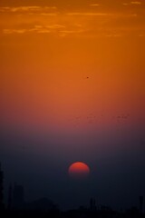 A beautiful capture of the setting sun where as the kites are flying and the birds are on their way back home
