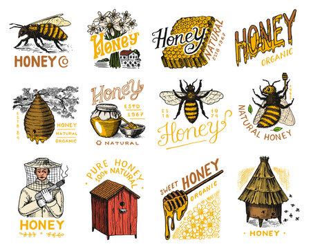 Honey and bees set. Beekeeper man and Honeycombs and hive and apiary. Vintage logo for typography, shop or signboards. Badge for t-shirts. Hand Drawn engrave sketch. Vector illustration.
