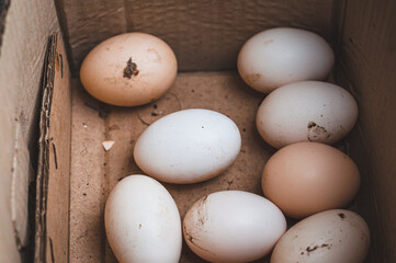 Homemade eco-friendly and healthy eggs lie in a cardboard box