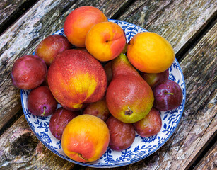 summer basket of fruits - pear, nectarine, plum and apricots on a wooden background