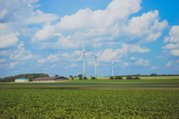 wind turbines farm
