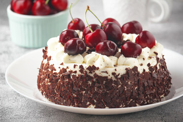 A traditional German chocolate and cherry cake Schwarzwald	