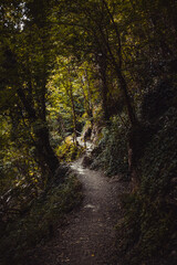 Obraz premium A gloomy path in the forest on a mountain next to a cliff. Light at the end of the road