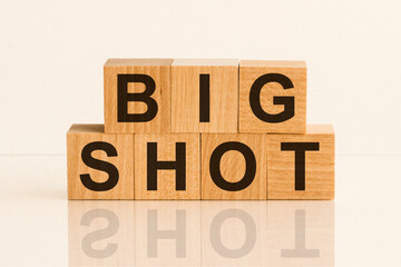 Big shot text on light wooden blocks, investment profit with stock market, no people