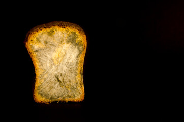 Half a loaf of rye bread covered with mold on a black background. Selective focus.