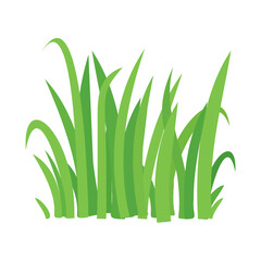 Grass vector cartoon texture. Grass field shape green silhouette plant bush