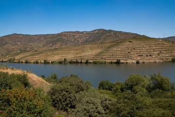 Beautiful Panoramic view of The Valley of the River Douro, Portugal - Port Wine Vineyards Region...