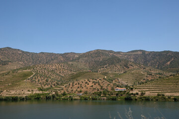 Beautiful Panoramic view of The Valley of the River Douro, Portugal - Port Wine Vineyards Region...