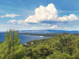 Fototapeta na wymiar Hvar island in Croatia. Bird view from the mountain. Pine forest, Adriatic sea and a passenger ferry boat