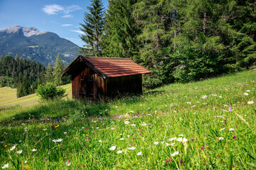 meadow with wildflowers by wooden hut