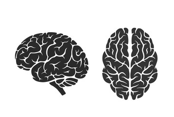 brain icons. side and top view. mind, intelligence, psychology and neurology symbol