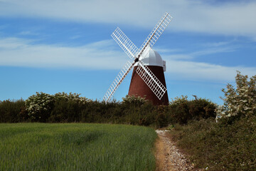 Old Windmill in Green Cornfield 