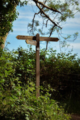 Public Footpath Sign With Three Directions by the Trees