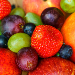 Close-up view of large collection fresh fruits useful for health. Harvesting concept. Fresh background.