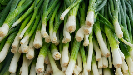 Close-up photo of fresh green onion background. Healthy fresh food background. Plants background and texture. Space for text.