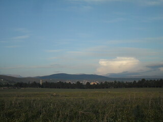 <SAMSUNG DIGITAL CAMERA>