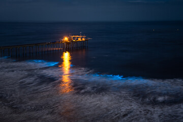 Scripps Pier at night watching the bioluminescence 