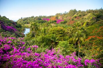 botanical gardens near Poipu, Kauai, Hawaii