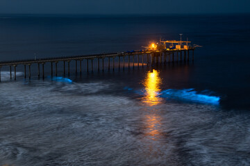 Fototapeta premium Scripps Pier at night watching the bioluminescence 