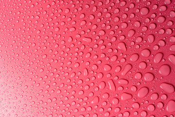 Droplets of water on a pink, matte background illuminated with a delicate light.